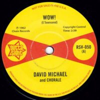 DAVID MICHAEL AND CHORALE / HANK LEVINE AND ORCHESTRA / WOW! / IMAGE - PART 1 / 7" /