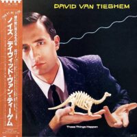DAVID VAN TIEGHEM / THESE THINGS HAPPEN / LP /