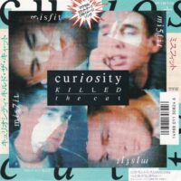 CURIOSITY KILLED THE CAT / MISFIT / MAN / 7" /