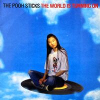 THE POOH STICKS / THE WORLD IS TURNING ON / 12" /