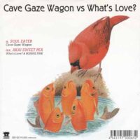 CAVE GAZE WAGON VS WHAT'S LOVE? / SPLIT / 7" /