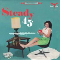 THE STEADY 45'S / MEANING OF LOVE / SLOW DOWN HEART / 7" /