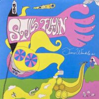 STILL FLYIN' / TIME WRINKLE EJ / LP /