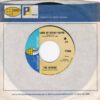 THE JOYRIDE / LAND OF RYPAP PAPYR / HIS BLUES / 7" /