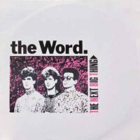 THE WORD / THE NEXT BIG THING / 12" /