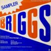 BRIAN BRIGGS / SPECIAL SAMPLER (SELECTED MUSIC FROM THE ALBUM BRIAN DAMAGE) / 12" / 3 BRIAN BRIGGS