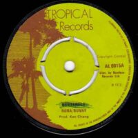 NORA / BUNNY / TROPICAL ALL STARS / BUTTERFLY / FLY VERSION / 7" /