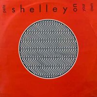 PETE SHELLEY / ON YOUR OWN / 12" /