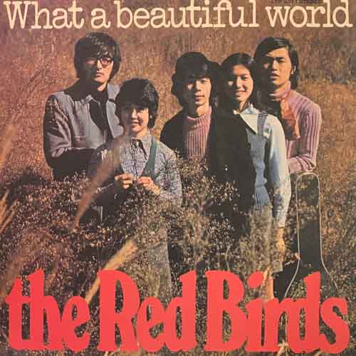 THE RED BIRDS LP