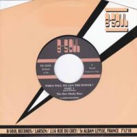 THE SLOW SLUSHY BOYS / WHEN WILL WE GET THE POWER? / 7" /