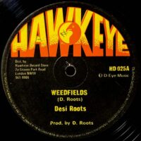 DESI ROOTS / WEEDFIELDS / MIND BLOWING DECISIONS / 12" /