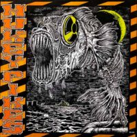 NUKEY PIKES / NUKEY PIKES / LP /