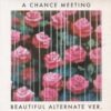 HOME 2 HARVARD / A CHANCE MEETING (BEAUTIFUL ALTERNATE VER.) / 7″ /