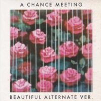 HARVARD / A CHANCE MEETING (BEAUTIFUL ALTERNATE VER.) / 7" /