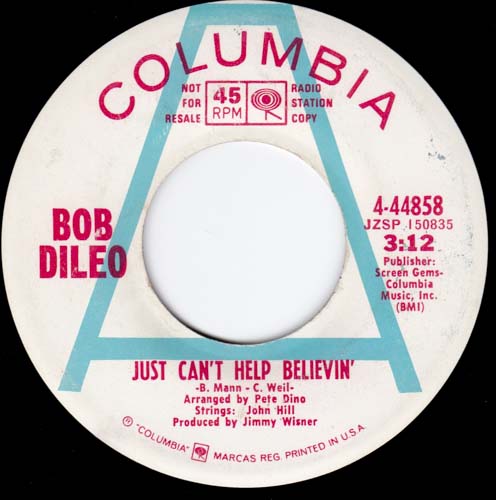 BOB DILEO JUST CANT HELP BELIEVIN