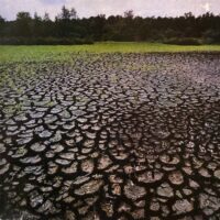 BOSSA BRASILIA BAND / BOSSA BRASILIA BAND / LP /