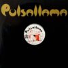 PULSALLAMA 12