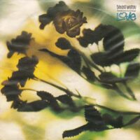 DANNY WILSON / THE SECOND SUMMER OF LOVE / 7" /