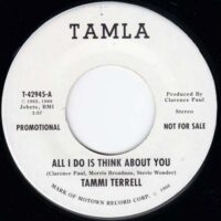 TAMMI TERRELL / BRENDA HOLLOWAY / ALL I DO IS THINK ABOUT YOU / 7" /
