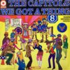THE CAPITOLS / WE GOT A THING / LP /