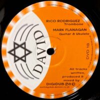 DIGIDUB / DAY ONE / POUND HORN / 10" /