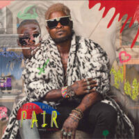 DIRON ANIMAL / PAIR / LP /