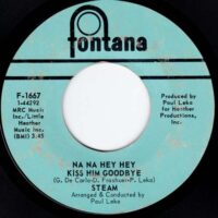 STEAM / NA NA HEY HEY KISS HIM GOODBYE / IT'S THE MAGIC IN YOU GIRL / 7" /