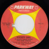 THE RAG DOLLS / SOCIETY GIRL / RAGEN (SOCIETY GIRL BOSSA NOVA) / 7" /