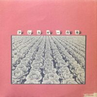 アレルギー ALLERGY / アレルギー作用 - ALLERGY PROCESS - / LP /