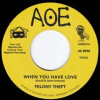 FELONY THEFT / WHEN YOU HAVE LOVE / RUN FOR COVER / 7" /