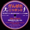 V.A. (ORQUESTA DEL SOL) / がんばれニッポン! DANCE STADIUM ~THE FIGHT NIPPON~ / LP /