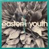 eastern youth / 孤立無援の花 / LP /