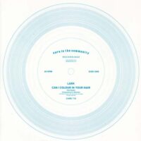 LARK / CAN I COLOUR IN YOUR HAIR / 7" /