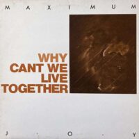 MAXIMUM JOY / WHY (CAN'T WE LIVE TOGETHER) / 12" /
