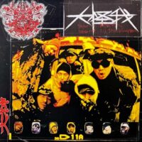 大神 / 大怪我 / 12" /