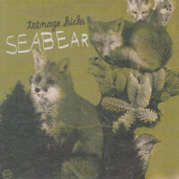 SEABEAR / TEENAGE KICKS / 7" /