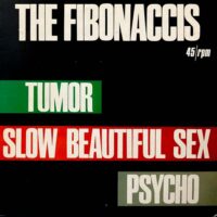 THE FIBONACCIS / TUMOR / 12" /