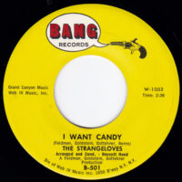 THE STRANGELOVES / I WANT CANDY / 7" /