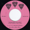 L.U .S.T. PRODUCTIONS / IF YOU WANT MY LOVE / YOU THAT I NEED / 7" /