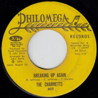 THE CHARMETTS / WHAT ABOUT THE CHILDREN / BREAKING UP AGAIN / 7" /