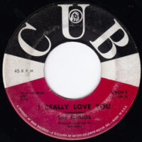 THE STEREOS / I REALLY LOVE YOU / PLEASE COME BACK TO ME / 7" /