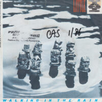 LITTLE GIANTS (GIGANTJES) / WALKING IN THE RAIN / 7" /