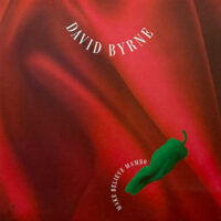DAVID BYRNE / MAKE BELIEVE MAMBO / 12" /