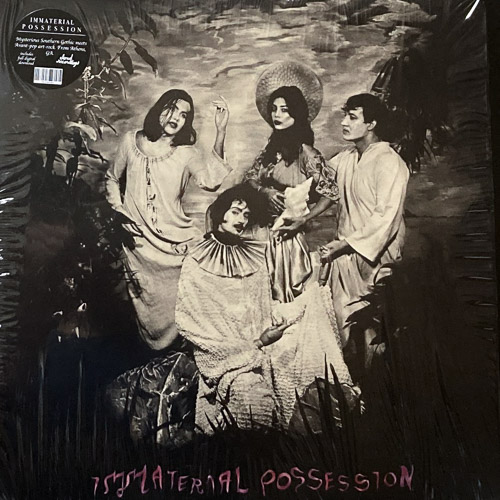 IMMATERIAL POSSESSION