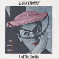 DAWN CHORUS AND THE BLUE TITS / I'M GOING DOWN / 7" /