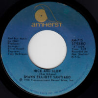 SHAWN ELLIOTT SANTIAGO / NICE AND SLOW / 7" /