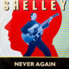SHELLEY / NEVER AGAIN / 12" /