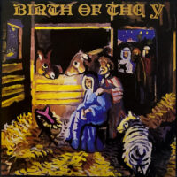 V.A. / BIRTH OF THE Y / LP /