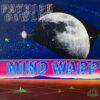PATRICK COWLEY / MIND WARP / LP / 2 MIND WARP