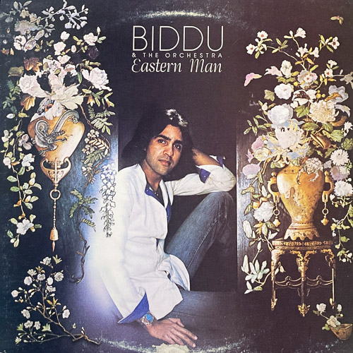 BIDDU THE ORCHESTRA